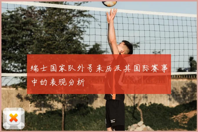 瑞士国家队外号来历及其国际赛事中的表现分析