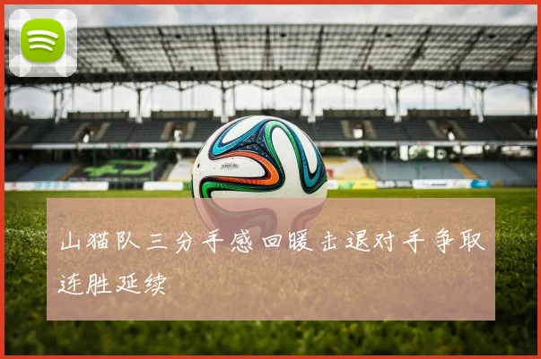 山猫队三分手感回暖击退对手争取连胜延续