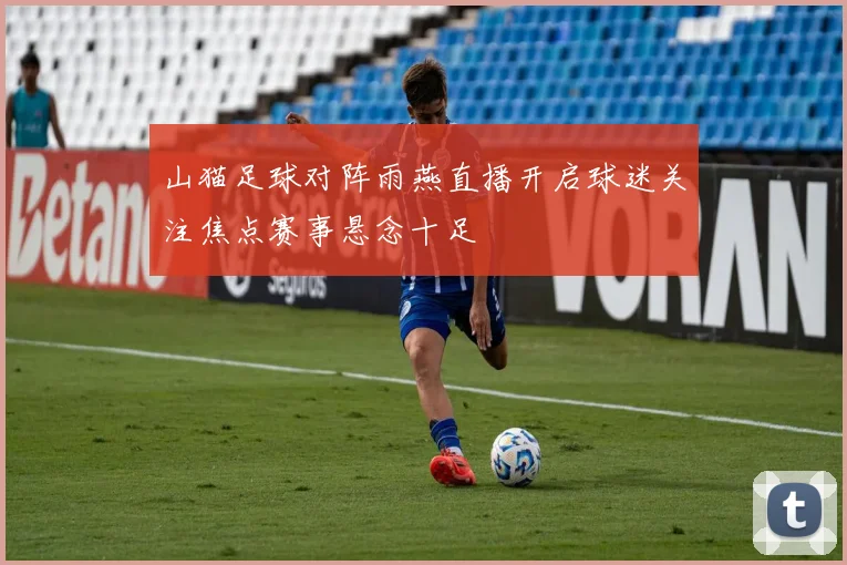 山猫足球对阵雨燕直播开启球迷关注焦点赛事悬念十足