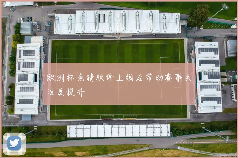 欧洲杯竞猜软件上线后带动赛事关注度提升